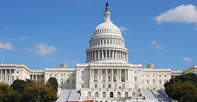 U.S. Capitol building representing cybersecurity solutions for federal and DoD government agencies.